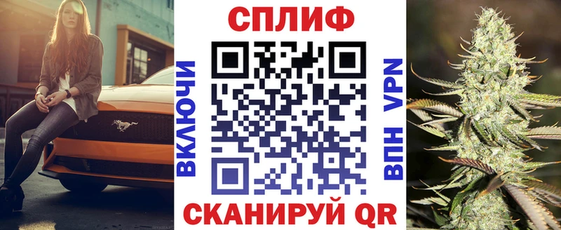 блэк спрут онион  цены   Кулебаки  даркнет клад  Марихуана сатива 